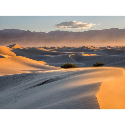 California Death Valley National Park-Mesquite Flat Sand Dunes Black Modern Wood Framed Art Print by Wild, Jamie and Judy