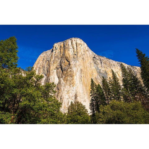 El Capitan-Yosemite Valley-Yosemite National Park-California-USA Black Modern Wood Framed Art Print with Double Matting by Bishop, Russ