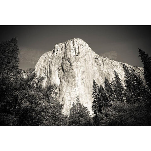 El Capitan-Yosemite Valley-Yosemite National Park-California-USA Black Modern Wood Framed Art Print by Bishop, Russ