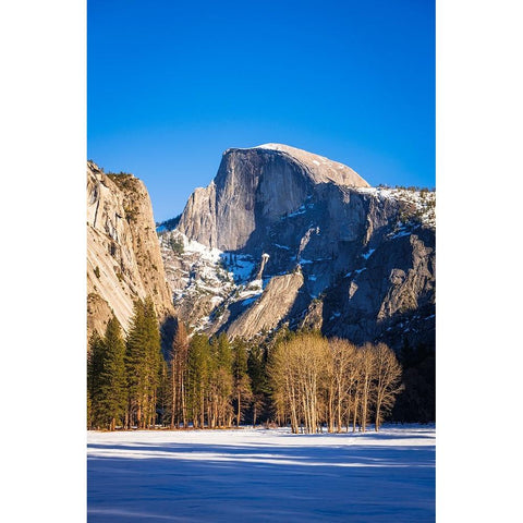 Afternoon light on Half Dome in winter-Yosemite National Park-California-USA Black Modern Wood Framed Art Print by Bishop, Russ