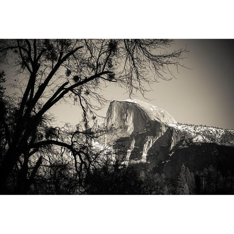 Afternoon light on Half Dome in winter-Yosemite National Park-California-USA Black Modern Wood Framed Art Print by Bishop, Russ