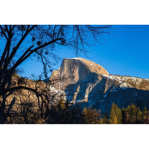 Afternoon light on Half Dome in winter-Yosemite National Park-California-USA Black Modern Wood Framed Art Print by Bishop, Russ