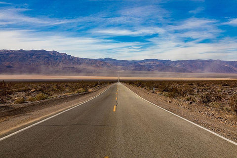 Road in Death Valley National Park-California Black Ornate Wood Framed Art Print with Double Matting by Day, Richard and Susan