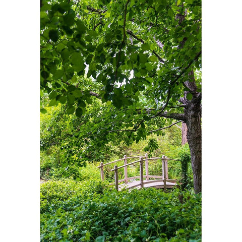 A wooden bridge crossing a small creek alongside a dirt path in a very green-lush forest setting Black Modern Wood Framed Art Print with Double Matting by Haddad, Sheila