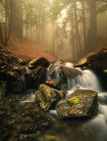 A stream meanders through a fog filled valley on coastal California near Big Sur White Modern Wood Framed Art Print with Double Matting by SMO