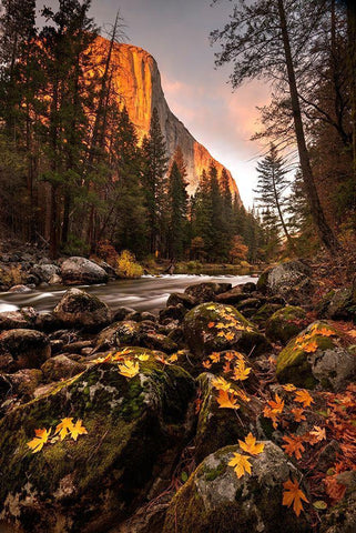 Fall along Merced River in Yosemite National Park-California Black Ornate Wood Framed Art Print with Double Matting by SMO