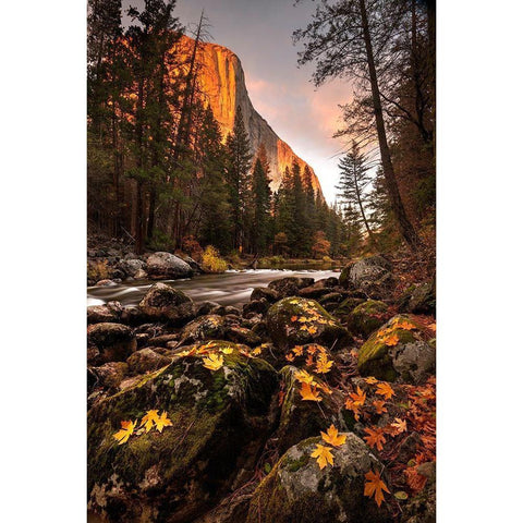 Fall along Merced River in Yosemite National Park-California Black Modern Wood Framed Art Print with Double Matting by SMO
