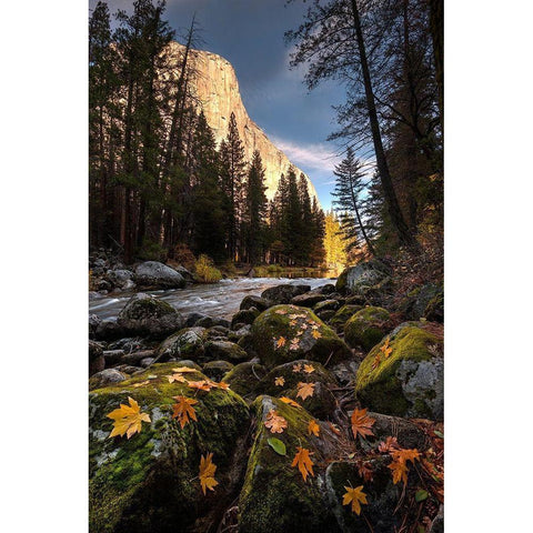 Autumn along Merced River in Yosemite National Park-California Gold Ornate Wood Framed Art Print with Double Matting by SMO
