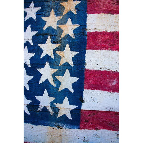 Gold Rose Mine-Virginia Dale Mining District-Mojave Desert-California Gold Ornate Wood Framed Art Print with Double Matting by Muench, Zandria