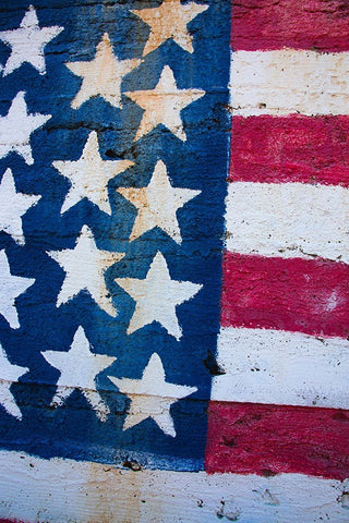 Gold Rose Mine-Virginia Dale Mining District-Mojave Desert-California Black Ornate Wood Framed Art Print with Double Matting by Muench, Zandria