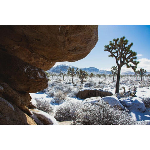 Winter storm-Joshua Tree National Park-California Black Modern Wood Framed Art Print by Muench, Zandria