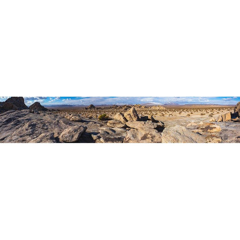 Johnson Valley-California Black Modern Wood Framed Art Print by Muench, Zandria