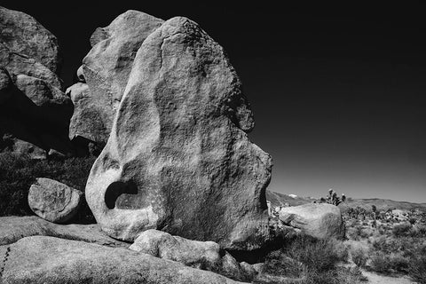 Joshua Tree National Park- California Black Ornate Wood Framed Art Print with Double Matting by Muench, Zandria