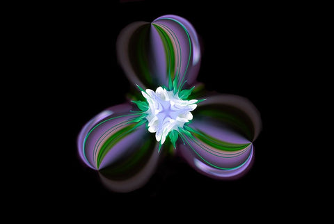 Columbine Flower-Colorado White Modern Wood Framed Art Print with Double Matting by Jones, Adam