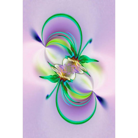 Columbine flower-Colorado Gold Ornate Wood Framed Art Print with Double Matting by Jones, Adam