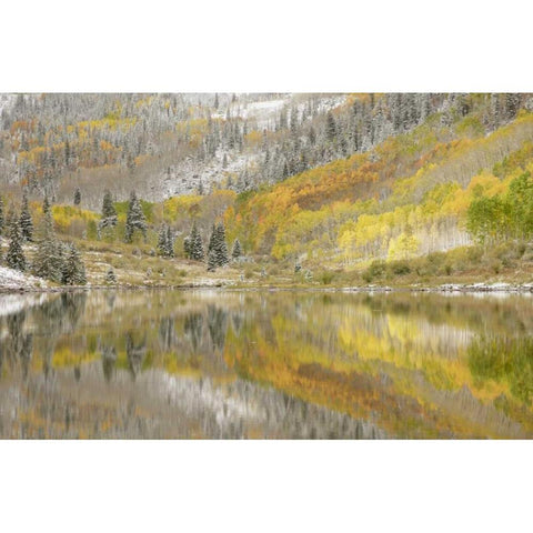 CO, Maroon Lake, Fresh snow and aspen trees Black Modern Wood Framed Art Print with Double Matting by Grall, Don