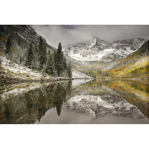 CO, White River NF, Morning on Maroon Bells peaks Black Modern Wood Framed Art Print by Grall, Don