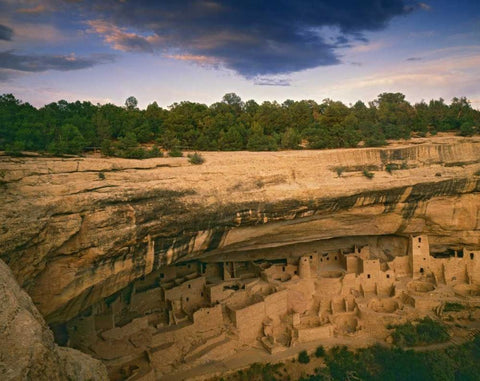 CO, Mesa Verde NP Ruins of Cliff Palace White Modern Wood Framed Art Print with Double Matting by Flaherty, Dennis