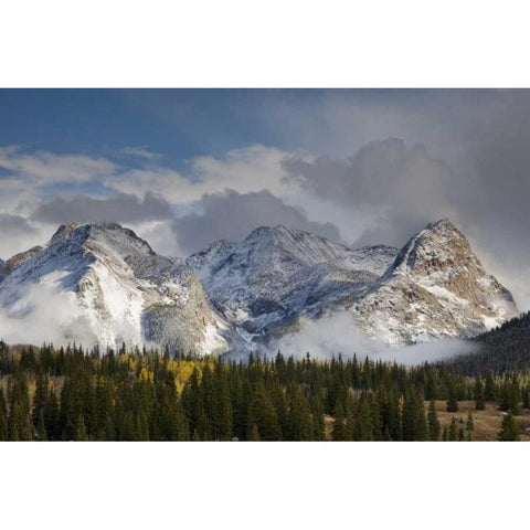 CO, Uncompahgre NF Grenadier Range in autumn Gold Ornate Wood Framed Art Print with Double Matting by Grall, Don