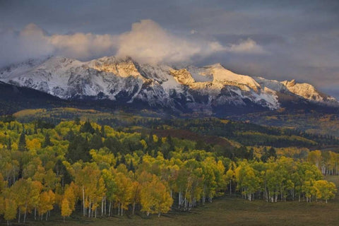 CO, Rocky Mts Sunrise over the Sneffels Range White Modern Wood Framed Art Print with Double Matting by Grall, Don