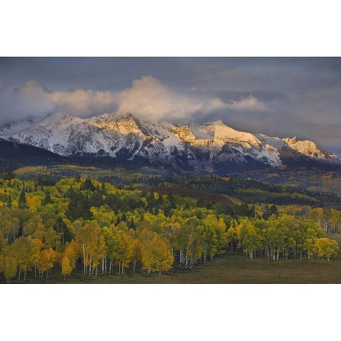 CO, Rocky Mts Sunrise over the Sneffels Range Black Modern Wood Framed Art Print by Grall, Don