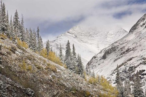 CO, Rocky Mts, Cinnamon Pass Autumn snowfall, White Modern Wood Framed Art Print with Double Matting by Grall, Don
