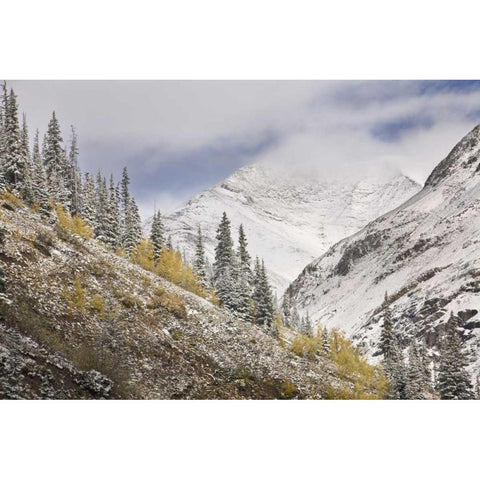 CO, Rocky Mts, Cinnamon Pass Autumn snowfall, Black Modern Wood Framed Art Print by Grall, Don