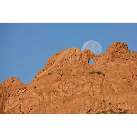 CO, Colorado Springs Moon sets behind formations Black Modern Wood Framed Art Print by Grall, Don
