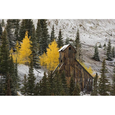 CO, Uncompahgre NF, An abandoned mine in fall Black Modern Wood Framed Art Print by Grall, Don