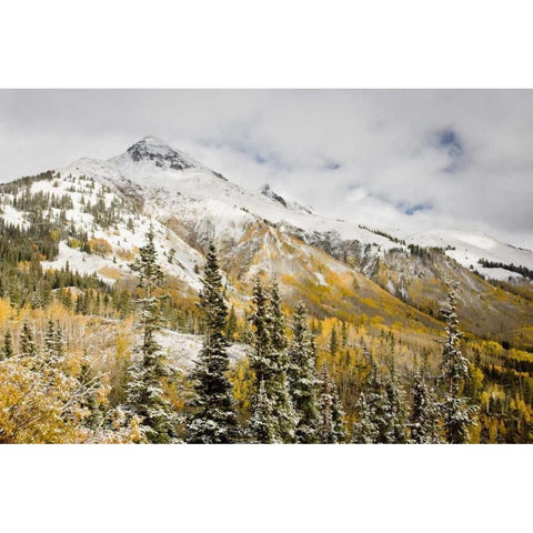 CO, Uncompahgre NF Mountain and aspens in autumn Black Modern Wood Framed Art Print by Grall, Don