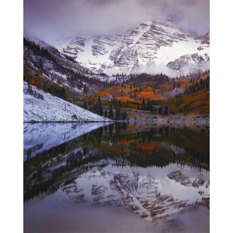 CO, Maroon Bells from Maroon Lake Gold Ornate Wood Framed Art Print with Double Matting by Flaherty, Dennis