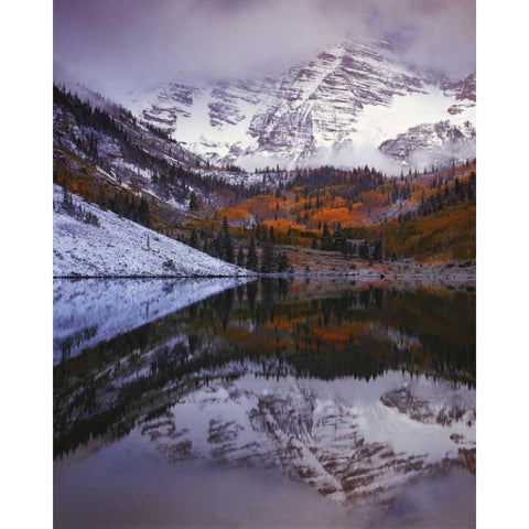 CO, Maroon Bells from Maroon Lake White Modern Wood Framed Art Print by Flaherty, Dennis