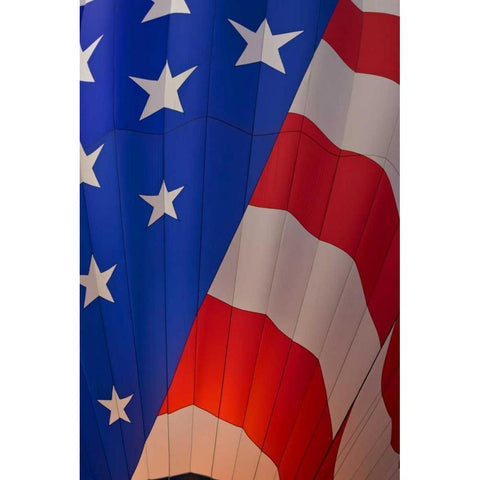 CO, Colorado Springs, A hot air balloon inflates Black Modern Wood Framed Art Print with Double Matting by Grall, Don