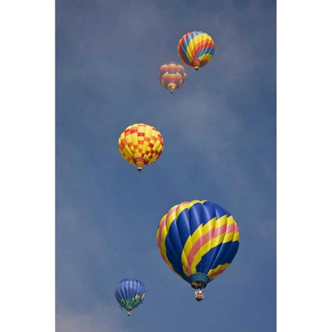 CO, Colorado Springs Hot air balloons in morning Black Modern Wood Framed Art Print with Double Matting by Grall, Don