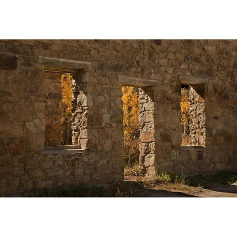 CO, Central City Aspen inside abandoned building Black Modern Wood Framed Art Print by Grall, Don