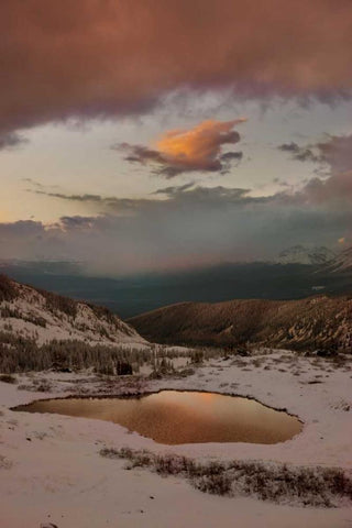 CO, Cottonwood Pass Sunset on alpine tarn Black Ornate Wood Framed Art Print with Double Matting by Grall, Don