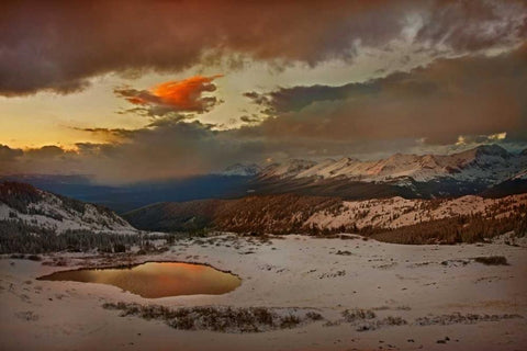 CO, Cottonwood Pass Sunset on alpine tarn Black Ornate Wood Framed Art Print with Double Matting by Grall, Don