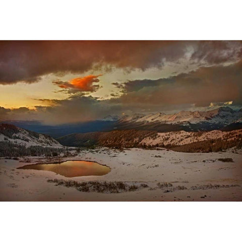 CO, Cottonwood Pass Sunset on alpine tarn Black Modern Wood Framed Art Print by Grall, Don