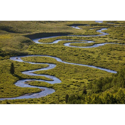 CO, Gunnison NF Uper East Rivers meandering Black Modern Wood Framed Art Print by Grall, Don