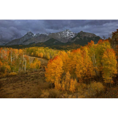 CO, Sneffels Range Dark clouds foretell a storm White Modern Wood Framed Art Print by Grall, Don