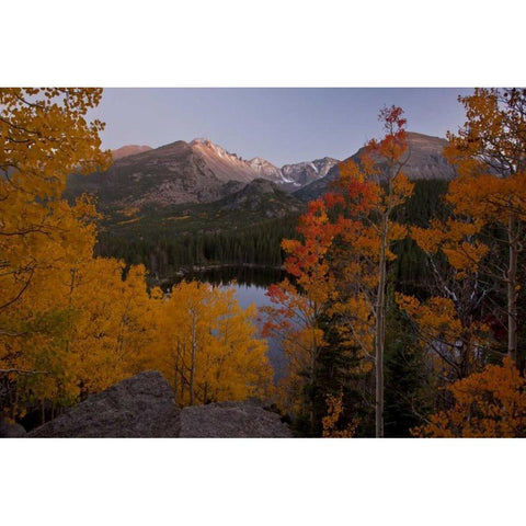 CO, Rocky Mts Aspen trees frame Longs Peak Black Modern Wood Framed Art Print by Grall, Don