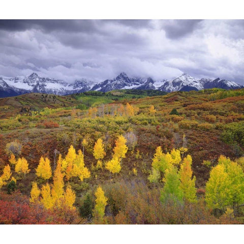 Colorado, Rocky Mountains, Autumn in the Rockies Black Modern Wood Framed Art Print by Talbot Frank, Christopher