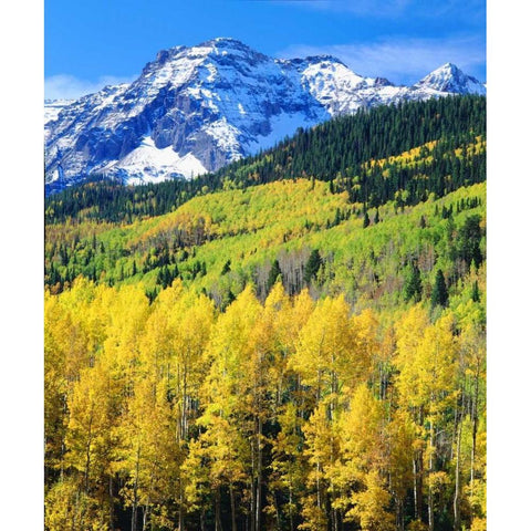 Colorado, Rocky Mountains, Autumn in the Rockies Gold Ornate Wood Framed Art Print with Double Matting by Talbot Frank, Christopher
