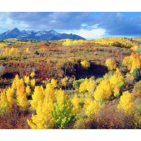 Colorado, Rocky Mountains, Autumn in the Rockies Black Modern Wood Framed Art Print by Talbot Frank, Christopher