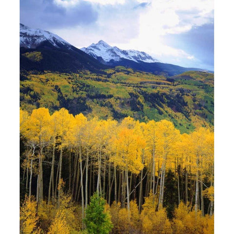 CO, Sunset over Mt Wilson with fall colors Gold Ornate Wood Framed Art Print with Double Matting by Talbot Frank, Christopher