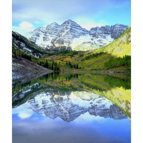CO, Rocky Mts, Maroon Lake, Maroon Bell flowers Black Modern Wood Framed Art Print by Talbot Frank, Christopher
