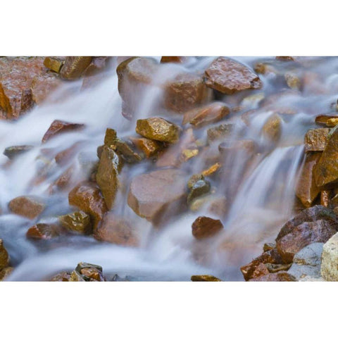CO, Ophir Pass Waterfall cascades over rocks Black Modern Wood Framed Art Print by Illg, Cathy and Gordon