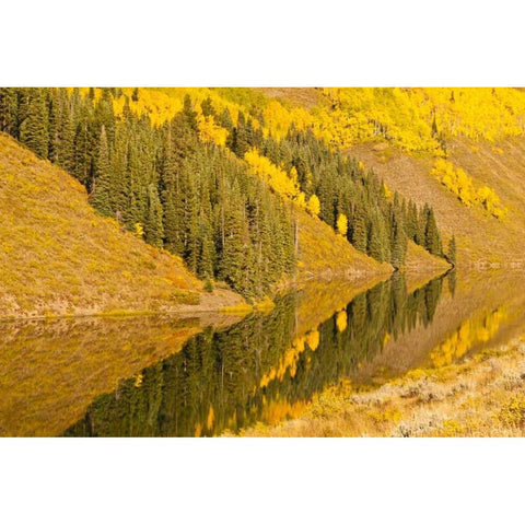 CO, Rocky Mts Autumn reflection on Long Lake Black Modern Wood Framed Art Print by Illg, Cathy and Gordon
