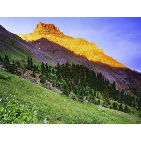 USA, Colorado Sunset on Yankee Boy Basin Gold Ornate Wood Framed Art Print with Double Matting by Flaherty, Dennis