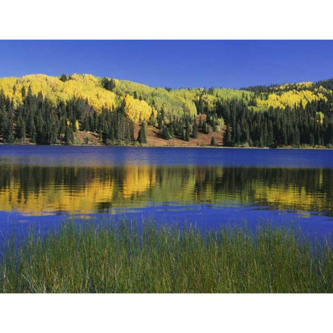 Colorado, Gunnison NF Autumn scenic at Lost Lake Black Modern Wood Framed Art Print with Double Matting by Flaherty, Dennis